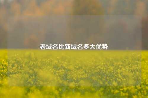 老域名比新域名多大优势