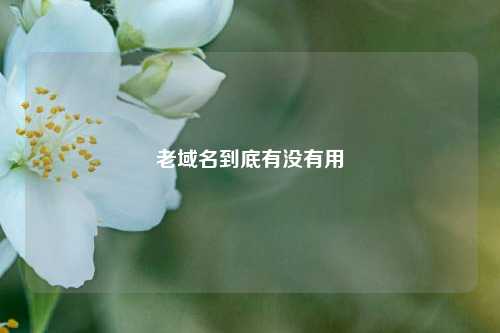 老域名到底有没有用